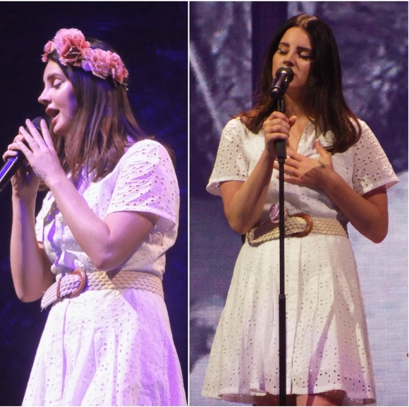 SOLD  Lana Del Rey dress - Picture 3 of 10